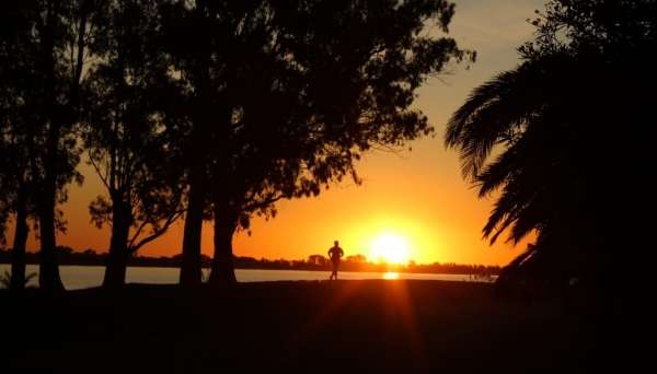 Chascobot, Un Nuevo Servicio De Turismo