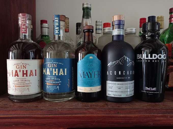 Gin Mayer, Un Bebida Premium Producida En ChascomÚs