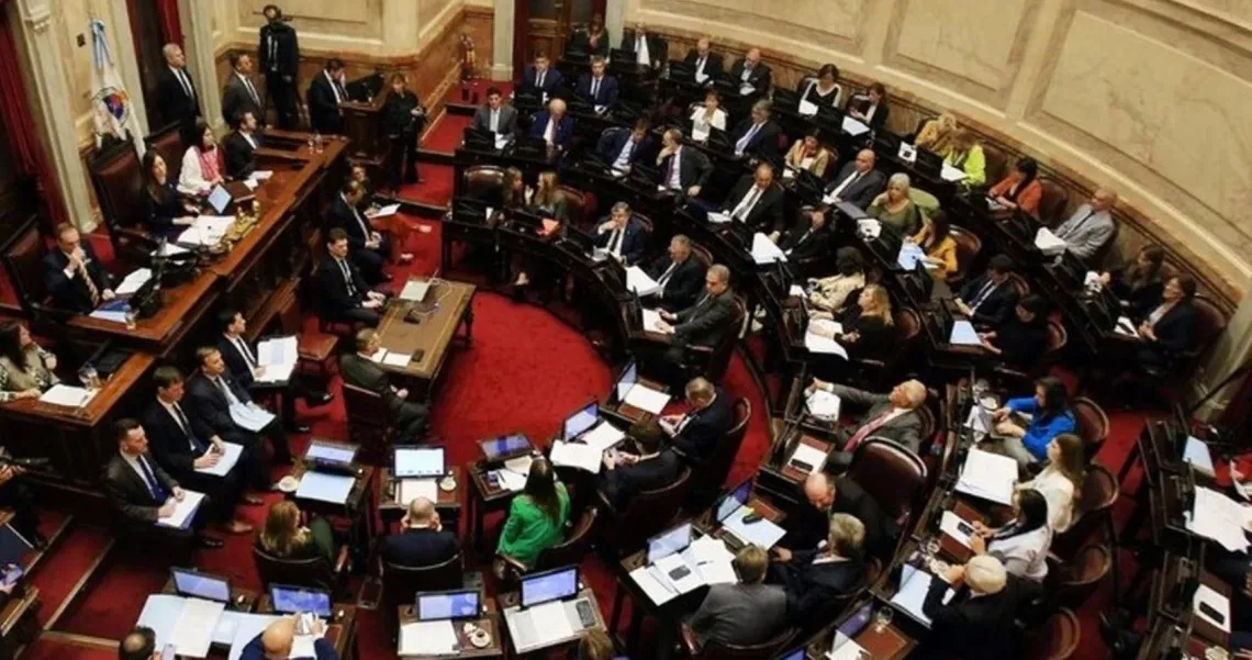 Ley Bases En El Senado