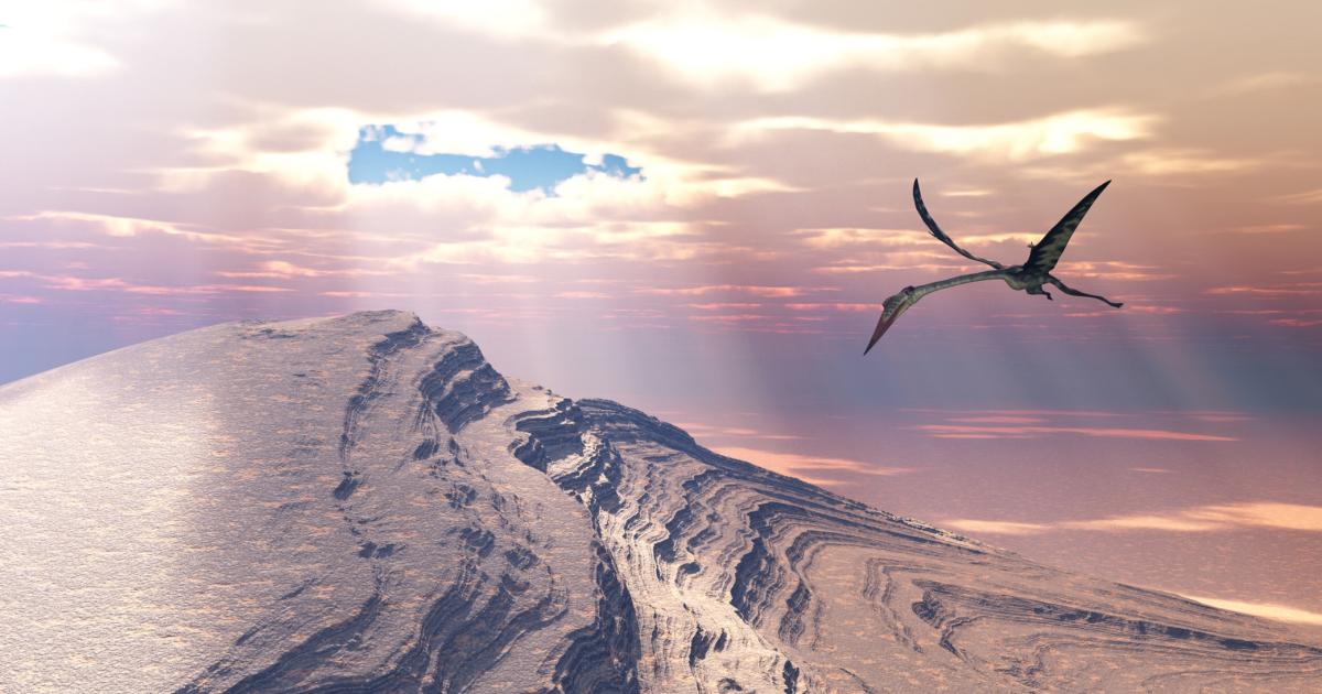 Descubren El Fósil De Un Espectacular Pterosaurio De Más De 3 Metros De Largo 6664693891f1f.jpeg