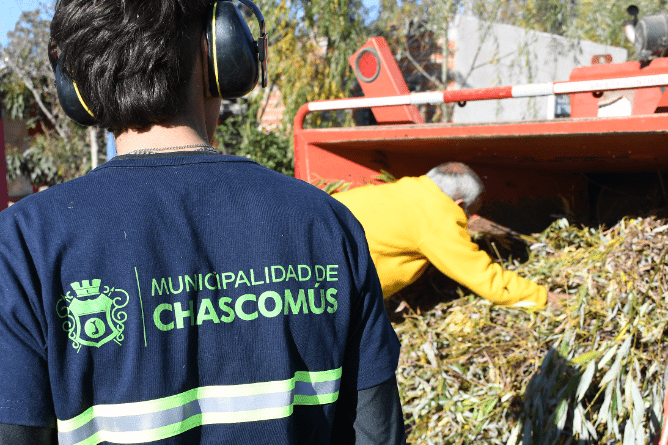 Descarte De Ramas Y De Pastos