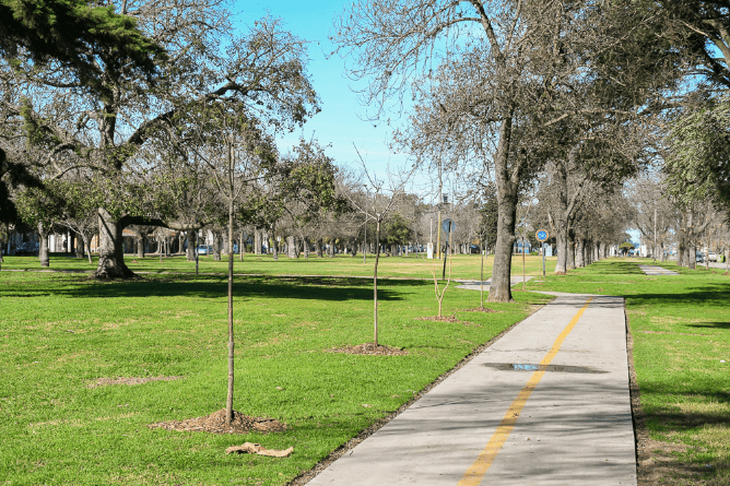 Embellecimiento Y Puesta En Valor De Los Espacios Verdes
