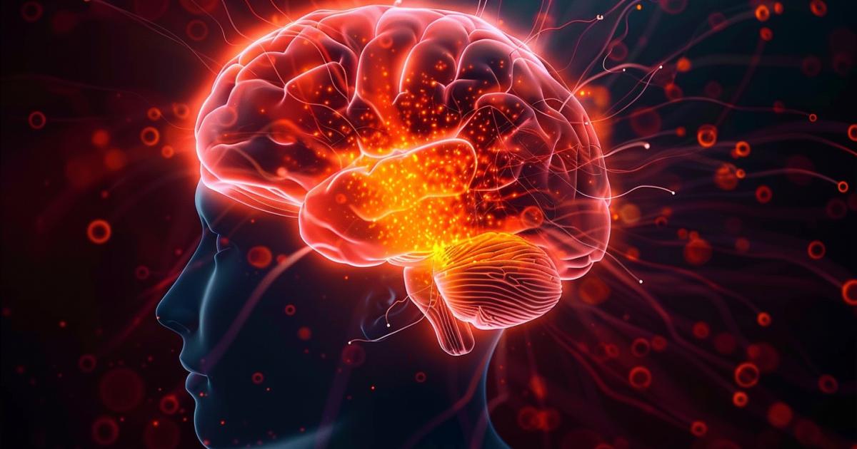 ¿cambia Nuestro Cerebro Cuando Morimos? 66913c39efe5d.jpeg