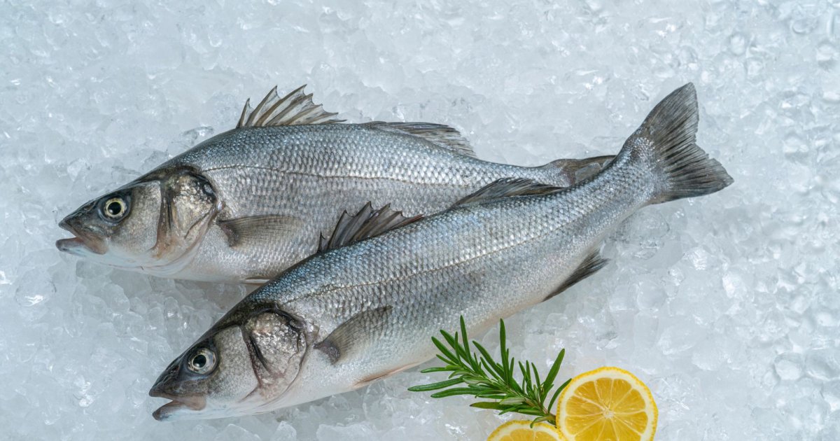 La Ciencia Que Hay Detrás De La Lubina A La Sal 6697d3bdddf7b.jpeg