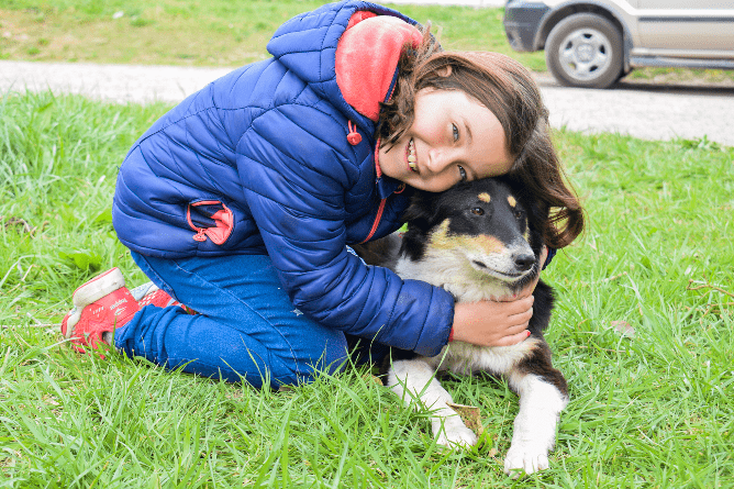 Tenencia Responsable De Mascotas