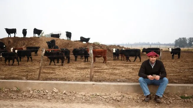 Campo Se Le Acaba La Paciencia