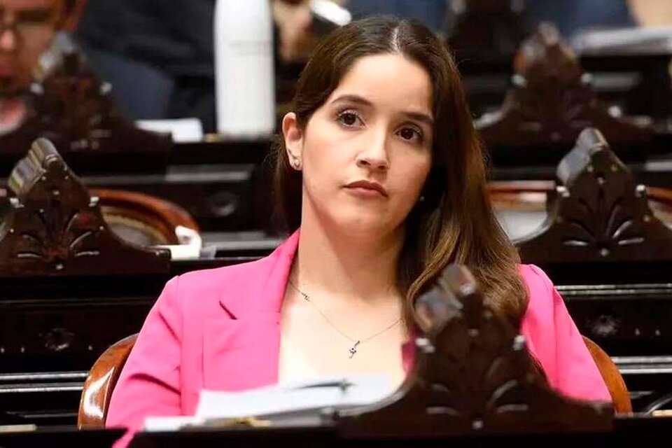 Diputada Rocío Bonacci