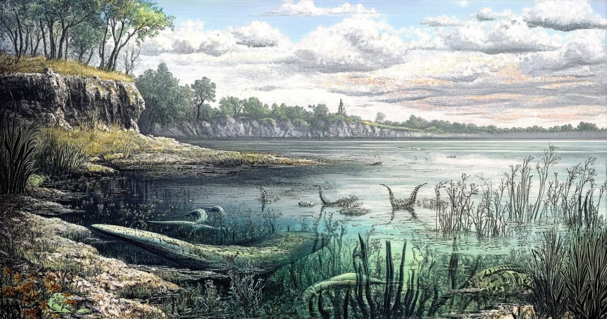 Este Es El Pene Más Antiguo Del Mundo: Tiene 425 Millones De Años 66c749bd66945.jpeg