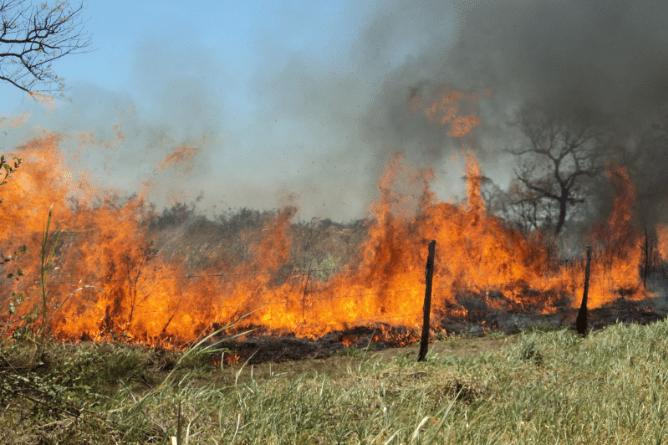 Incendios Forestales