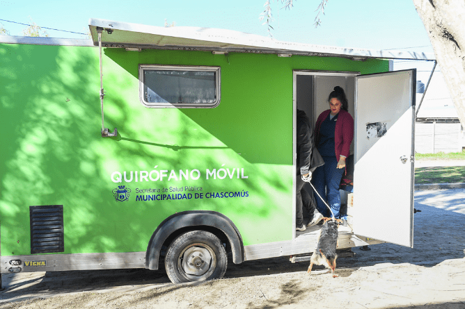 Castraciones De Pequeños Animales