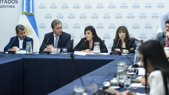 Diputados Avanzan Con Una Tipificación Penal Para La Venta De Niños