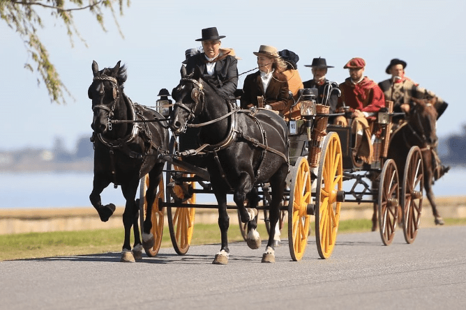 Encuentro Del Caballo Y El Carruaje