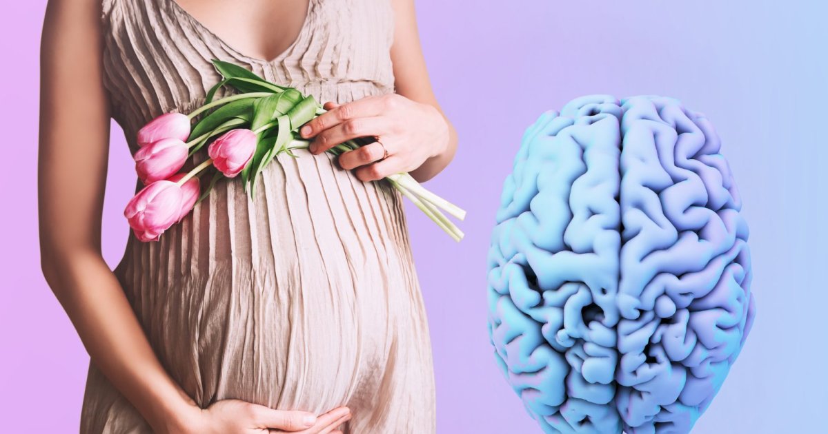 Cambios Cerebrales Durante El Embarazo: Un Estudio Revela Su Permanencia Postparto 66f56e378e8e8.jpeg