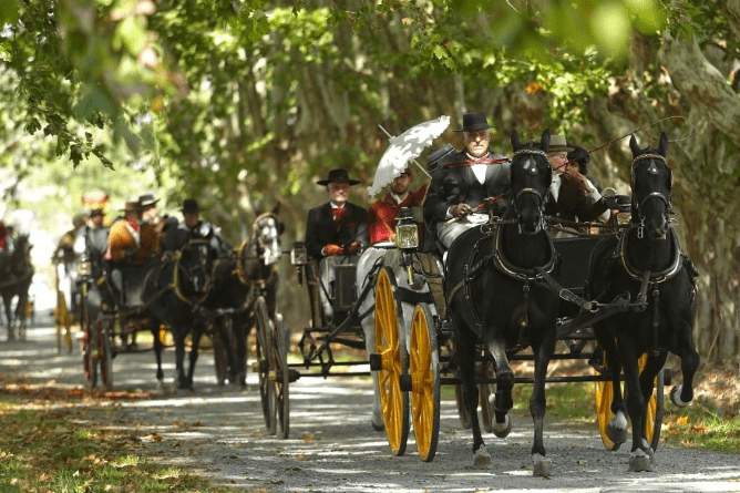 Fiesta Del Caballo Y El Carruaje