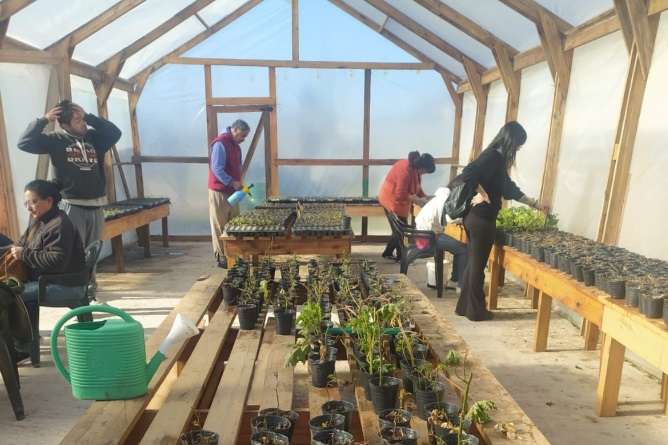 Día Mundial De La Salud Mental