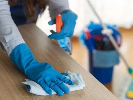 Empleadas Domésticas