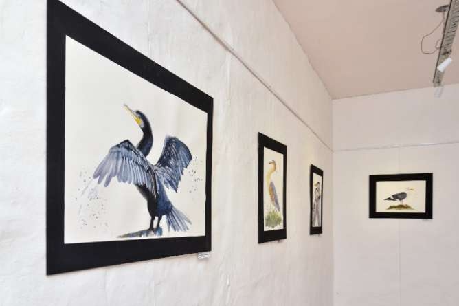 Un Paseo Por El Himedal