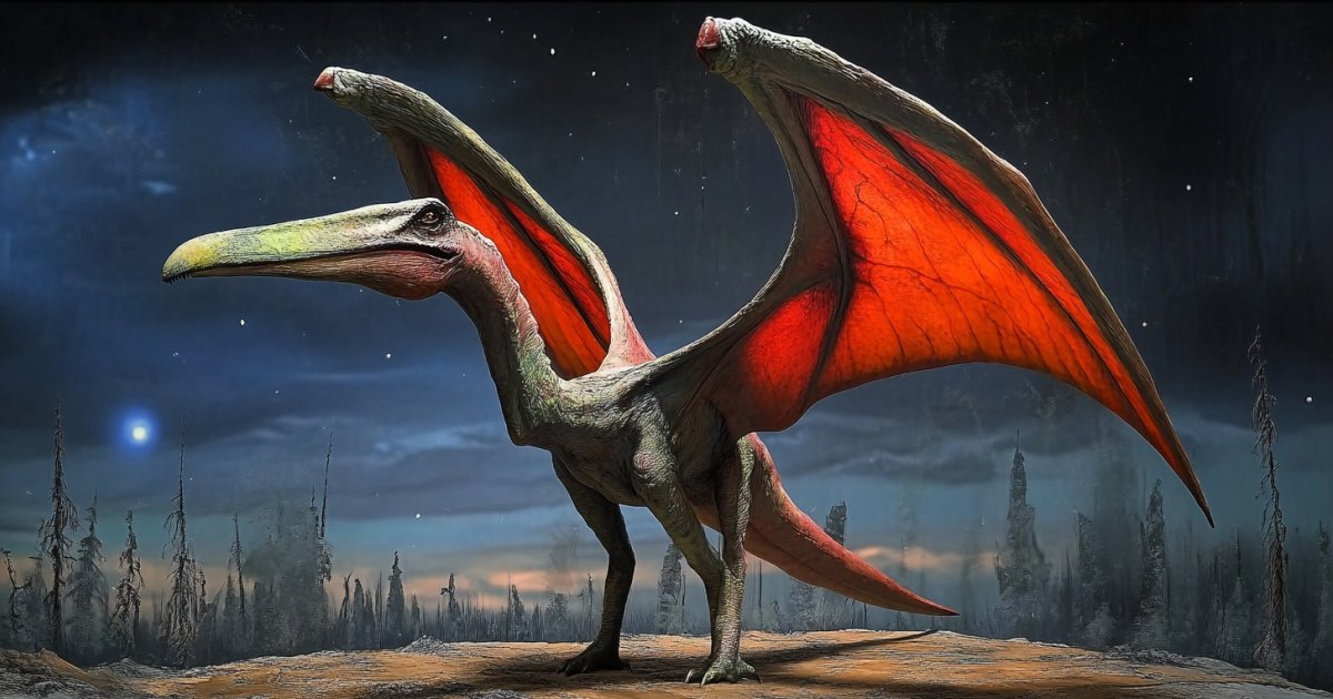 ‘drácula’, El Animal Más Grande Que Surcó Los Cielos De La Tierra 6703eeba4d025.jpeg