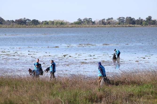 Limpieza Laguna