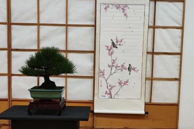 Muestra De Bonsai Y Arte Sumie