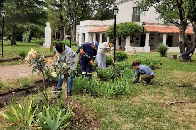 Pracyicas Profesionalizantes