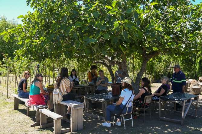 Ciclo Plantas Nativas