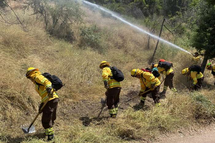 Incendios Forestales En Chile