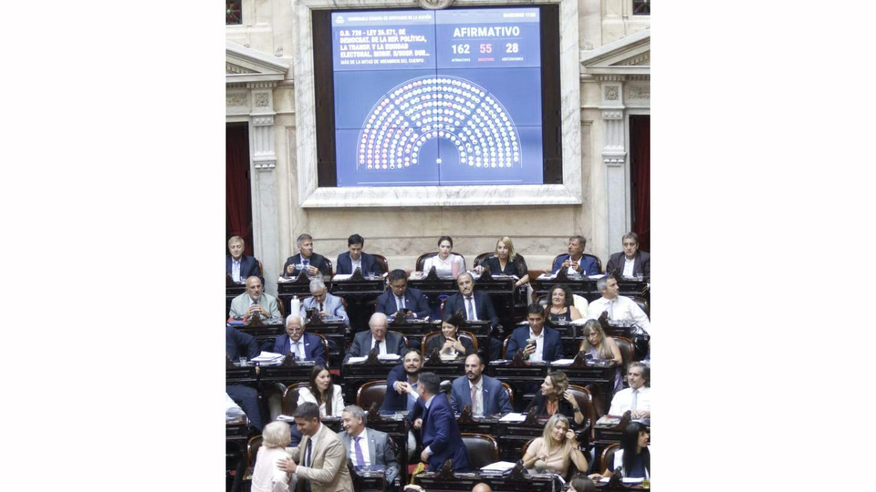 Cómo Votó Cada Diputado La Suspensión De Las Paso 67a537a97ec46.jpeg