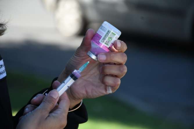 CampaÑa antirrabica