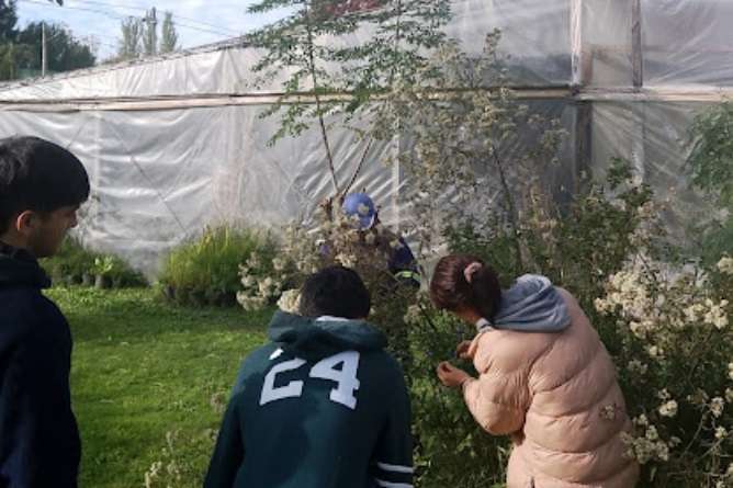 Practicas en vivero municipal