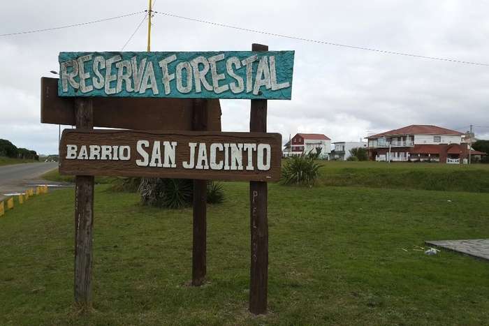 Envenamiento de perros