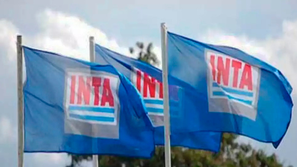 La destrucción del inta 67edba2f1a76c.jpeg