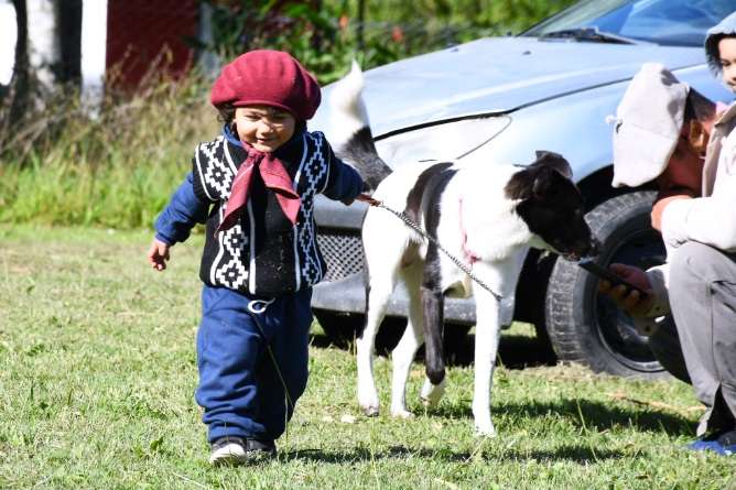 Mas tirnos quirofano movil