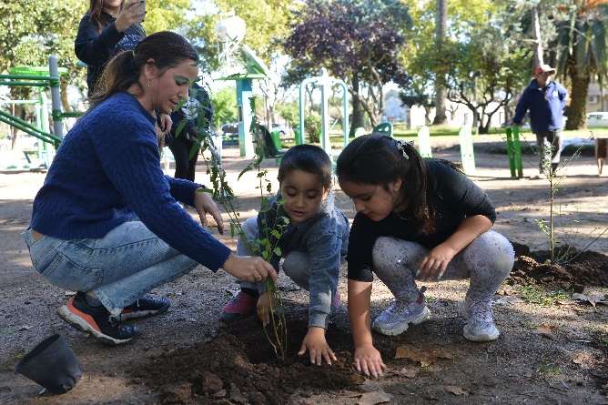 Renov plaza sarmiento