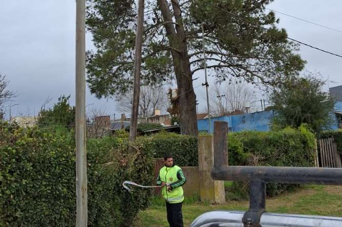 Fuertes vientos prov caida de postes y arboles