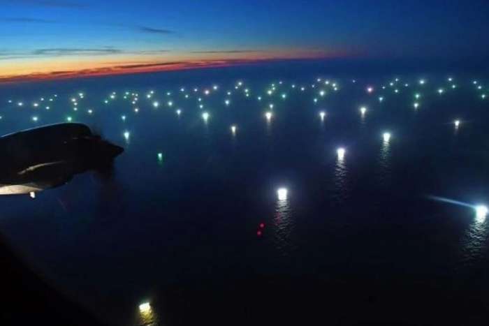 Calamares y otros bichos