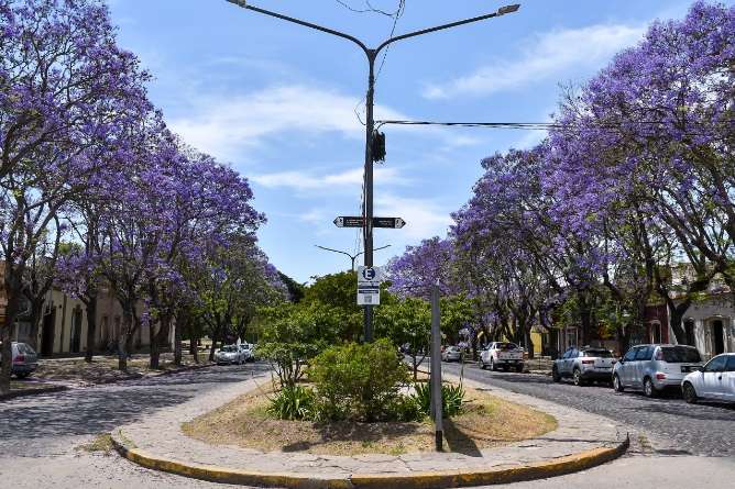 Más verde, más beneficios