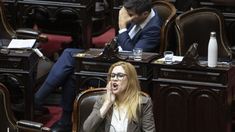 Lilia lemoine y marcela pagano se cruzaron a los gritos en el congreso 68af869d29162.jpeg