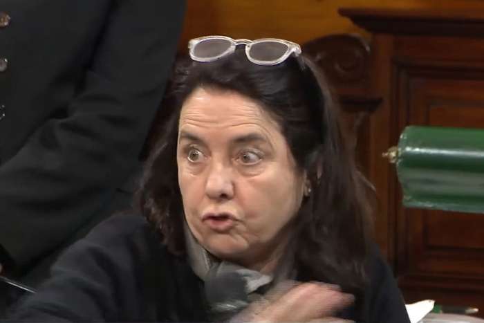 Senadora oficialista carmen Álvarez rivero