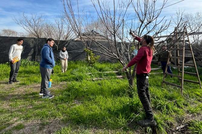 Talleres de poda y manejo de enfermedades y plagas de frutales