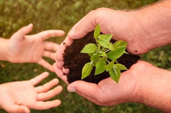 Conciencia ambiental