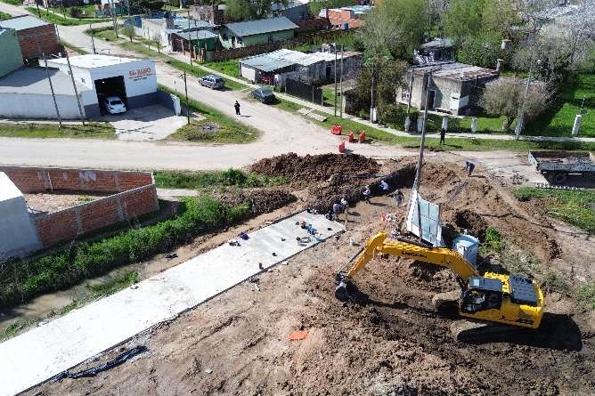 Hidricas en el algarrobo