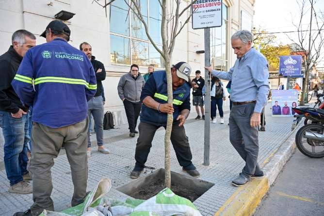 L del sur volvera a ser arbolada