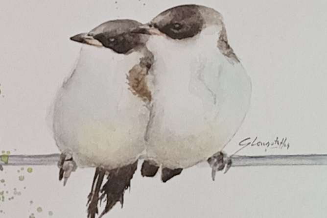 Pajaritos en la cabeza