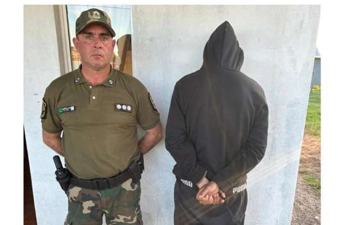 Carreras de galgos y caza ilegal