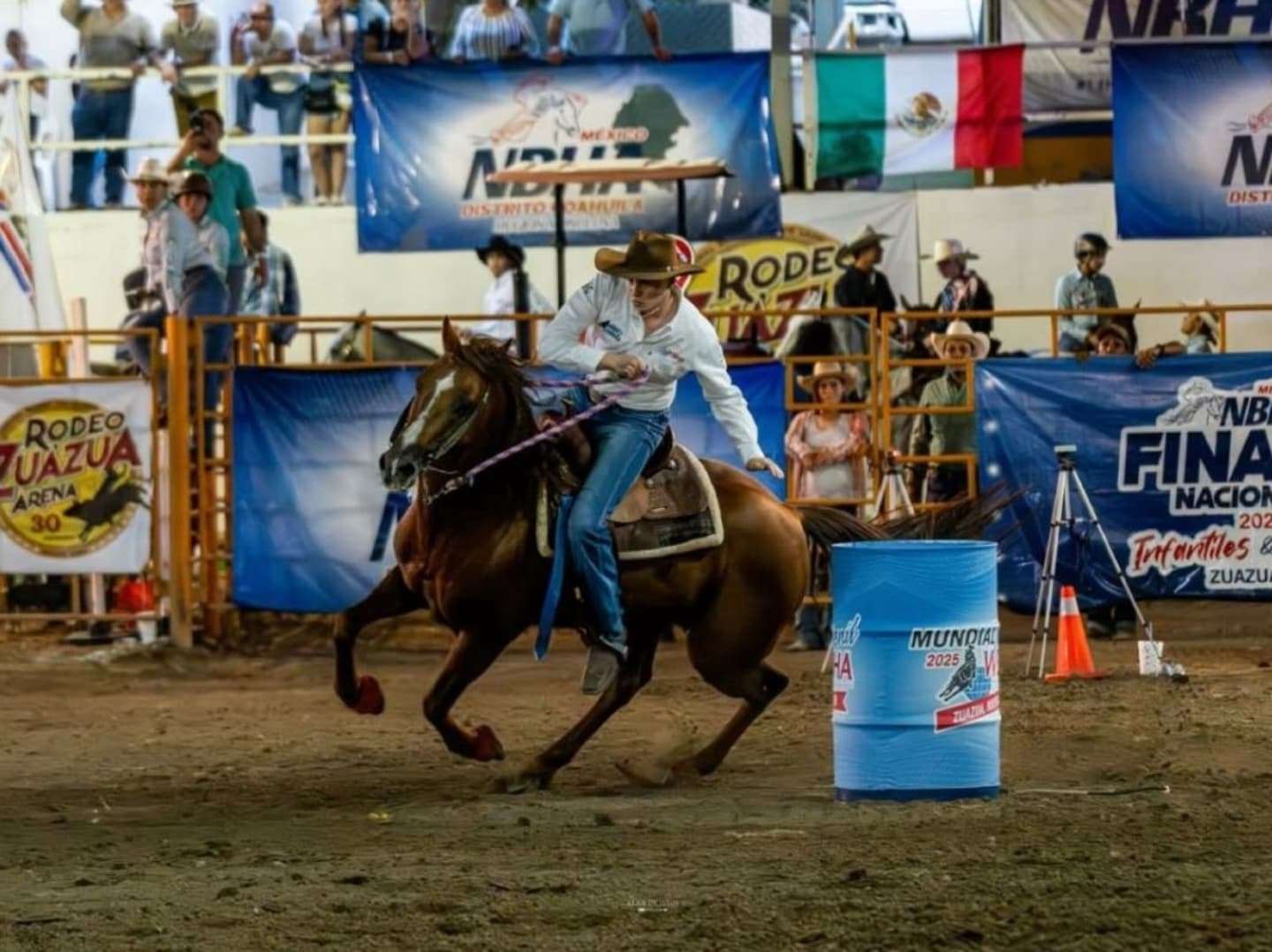 Cipriano gerosa calvo