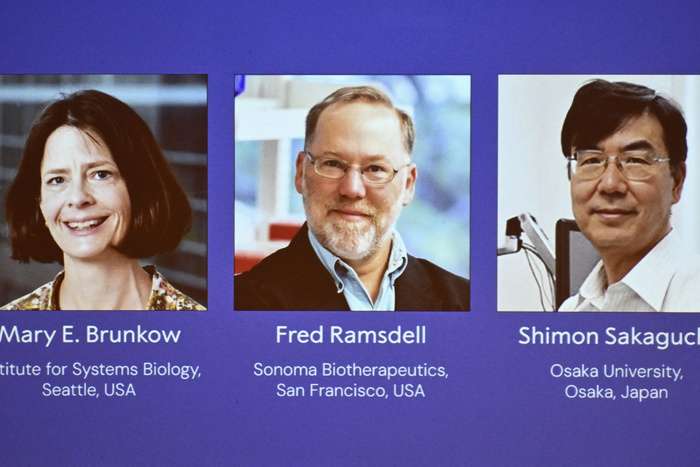 Mary brunkow, fred ramsdell y shimon sakaguchi