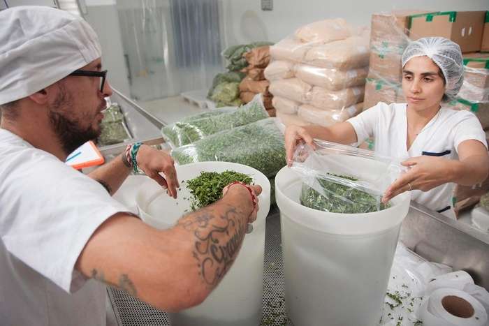 Fábrica de alimentos