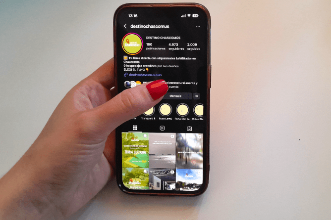 PROYECTO DESTUNO CHASCOMUS