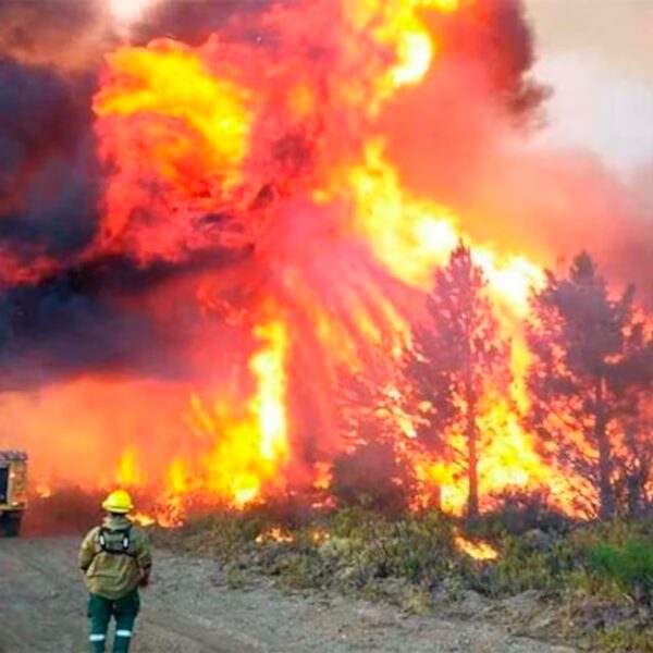 Incendios en la Patagonia